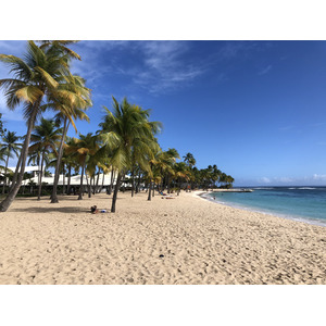 Picture Guadeloupe La Caravelle Beach 2021-02 0 - Car La Caravelle Beach