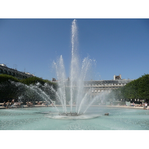 Picture France Paris Palais Royal 2007-08 93 - Photographers Palais Royal