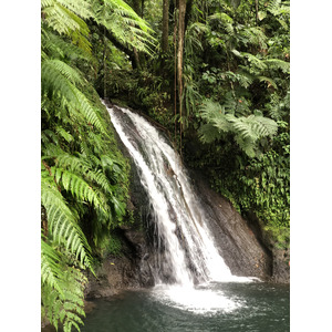 Picture Guadeloupe Cascade aux ecrevisses 2021-02 11 - Flight Cascade aux ecrevisses