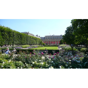 Picture France Paris Palais Royal 2007-08 79 - Car Rental Palais Royal