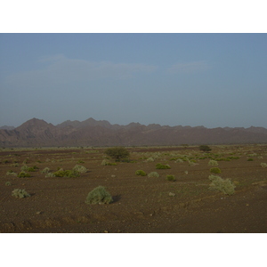 Picture Sultanate of Oman Buraimi to Mahada road 2005-03 24 - Sight Buraimi to Mahada road