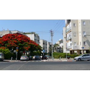 Picture Israel Tel Aviv Jabotinsky Street 2007-06 0 - Car Jabotinsky Street