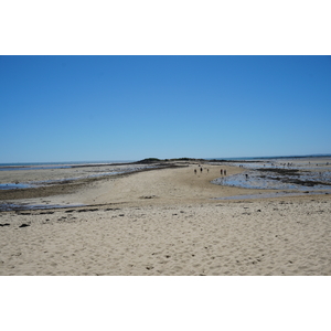 Picture France La Trinite-sur-Mer 2016-08 9 - Views La Trinite-sur-Mer