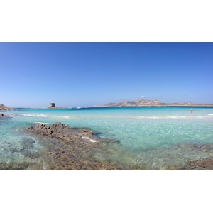 Picture Italy Sardinia Capo del Falcone 2015-06 74 - Sight Capo del Falcone