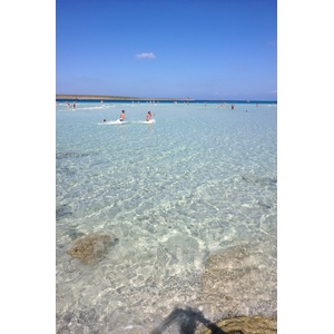 Picture Italy Sardinia Capo del Falcone 2015-06 54 - Trip Capo del Falcone