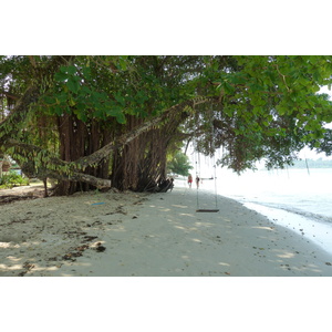 Picture Thailand Ko Chang Klong Prao beach 2011-02 58 - Discover Klong Prao beach