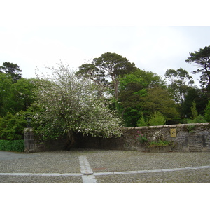 Picture Ireland Kerry Killarney National Park Muckross House 2004-05 43 - Discover Muckross House