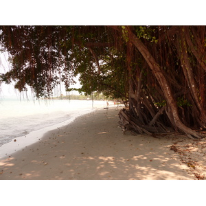 Picture Thailand Ko Chang Klong Prao beach 2011-02 102 - Perspective Klong Prao beach