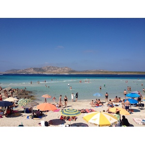 Picture Italy Sardinia Capo del Falcone 2015-06 70 - Car Rental Capo del Falcone