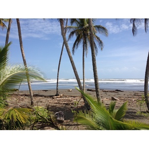 Picture Costa Rica Limon to Siquirres 2015-03 0 - Pictures Limon to Siquirres