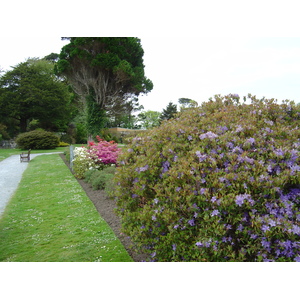 Picture Ireland Kerry Killarney National Park Muckross House 2004-05 6 - View Muckross House