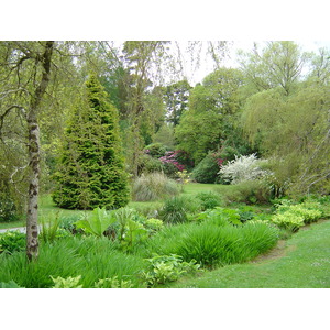 Picture Ireland Kerry Killarney National Park Muckross House 2004-05 11 - Visit Muckross House