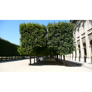 Picture France Paris Palais Royal 2007-08 27 - Sight Palais Royal