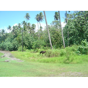 Picture Polynesia Marquises 2006-04 101 - Randonee Marquises