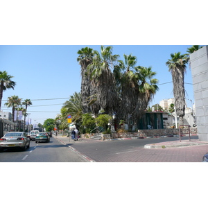 Picture Israel Tel Aviv Ibn Gvirol Street 2007-06 65 - Photos Ibn Gvirol Street