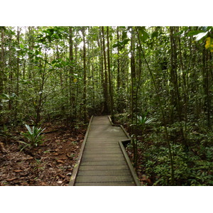 Picture New Caledonia Parc de la Riviere Bleue Le Grand Kaori 2010-05 17 - Trail Le Grand Kaori