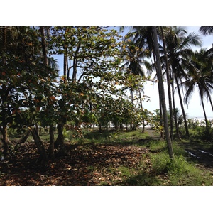 Picture Costa Rica Limon to Siquirres 2015-03 1 - Picture Limon to Siquirres