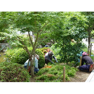 Picture Japan Kyoto Sanjusangendo temple 2010-06 12 - Road Sanjusangendo temple