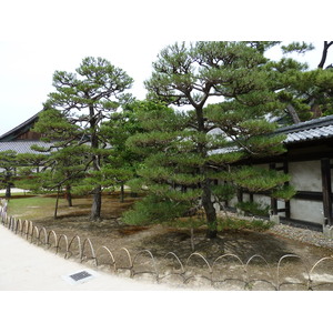 Picture Japan Kyoto Nijo Castle 2010-06 80 - Photos Nijo Castle