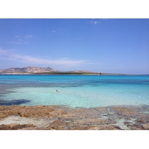 Picture Italy Sardinia Capo del Falcone 2015-06 6 - Randonee Capo del Falcone