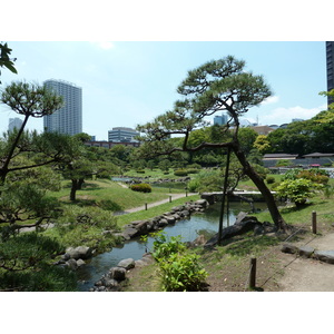 Picture Japan Tokyo Kyu Shiba rikyu Gardens 2010-06 51 - Pictures Kyu Shiba rikyu Gardens