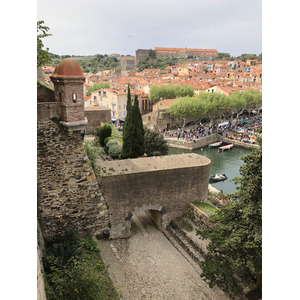 Picture France Collioure 2018-04 157 - Trip Collioure