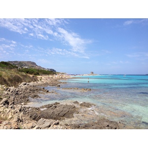 Picture Italy Sardinia Capo del Falcone 2015-06 28 - Sight Capo del Falcone