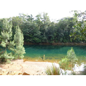 Picture New Caledonia Parc de la Riviere Bleue 2010-05 161 - Picture Parc de la Riviere Bleue