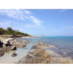 Picture Italy Sardinia Capo del Falcone 2015-06 48 - Travels Capo del Falcone