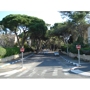 Picture Israel Haifa Carmel 2006-12 40 - Road Carmel