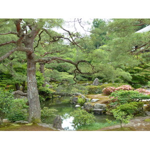 Picture Japan Kyoto Ginkakuji Temple(Silver Pavilion) 2010-06 54 - Picture Ginkakuji Temple(Silver Pavilion)