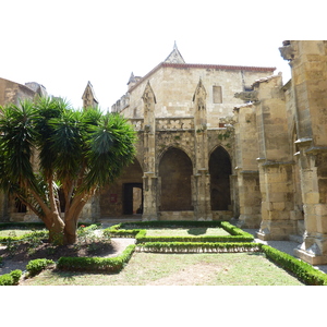 Picture France Narbonne 2009-07 137 - Photographer Narbonne