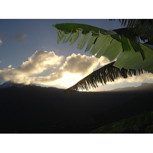 Picture Polynesia Marquises 2006-04 18 - Trail Marquises