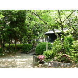 Picture Japan Tokyo Shiba Park 2010-06 14 - Perspective Shiba Park