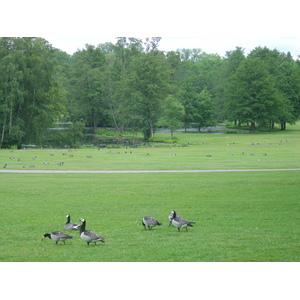 Picture Sweden Drottningholm 2005-06 7 - Trip Drottningholm