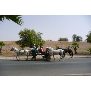 Picture Morocco Meknes 2008-07 51 - Photos Meknes