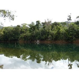 Picture New Caledonia Parc de la Riviere Bleue 2010-05 150 - Car Parc de la Riviere Bleue