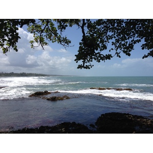 Picture Costa Rica Cahuita 2015-03 72 - Sight Cahuita