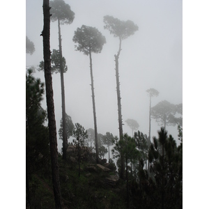 Picture Pakistan Murree 2006-08 156 - Sightseeing Murree