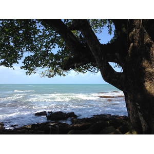 Picture Costa Rica Cahuita 2015-03 15 - Sightseeing Cahuita