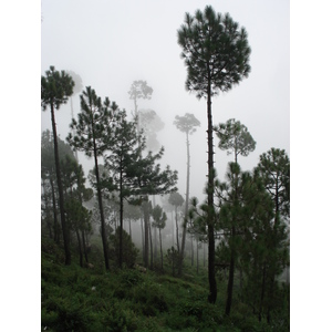 Picture Pakistan Murree 2006-08 39 - Sight Murree