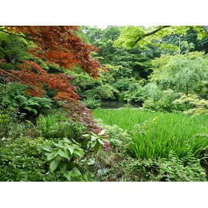 Picture Japan Tokyo Nezu Museum 2010-06 49 - Tourist Attraction Nezu Museum