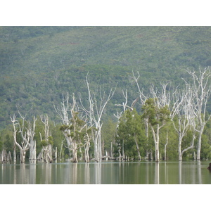 Picture New Caledonia Parc de la Riviere Bleue 2010-05 148 - Photos Parc de la Riviere Bleue