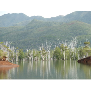 Picture New Caledonia Parc de la Riviere Bleue 2010-05 16 - Picture Parc de la Riviere Bleue