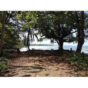 Picture Costa Rica Cahuita 2015-03 14 - Trail Cahuita