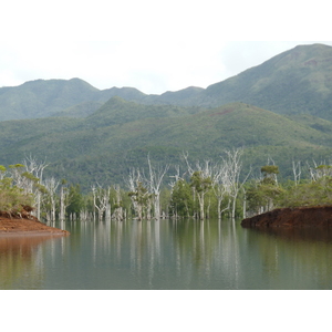 Picture New Caledonia Parc de la Riviere Bleue 2010-05 3 - Flight Parc de la Riviere Bleue