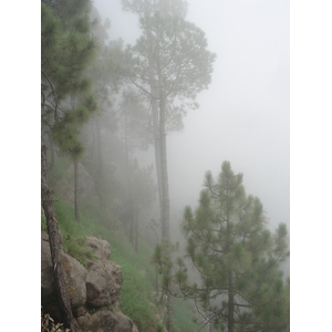 Picture Pakistan Murree 2006-08 29 - Road Murree