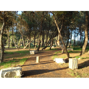 Picture Israel Caesarea 2006-12 158 - Photos Caesarea