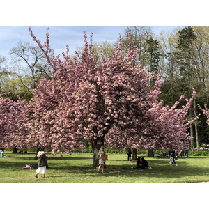 Picture France Parc de Sceaux 2019-04 25 - Road Parc de Sceaux