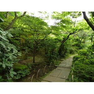 Picture Japan Tokyo Nezu Museum 2010-06 38 - Tourist Nezu Museum